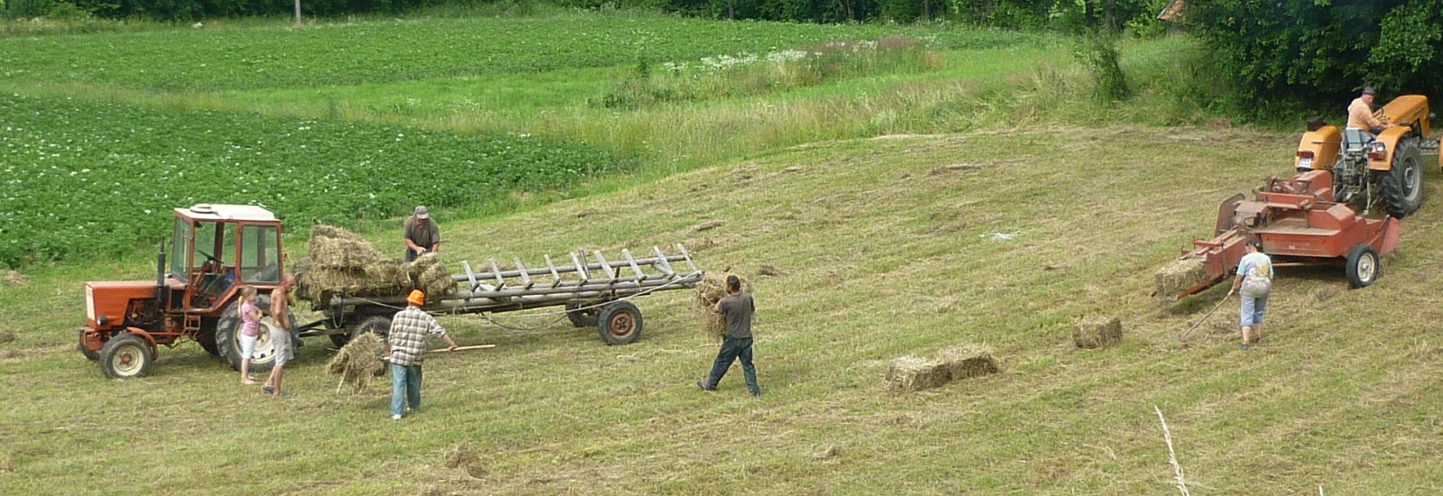 Harvest time